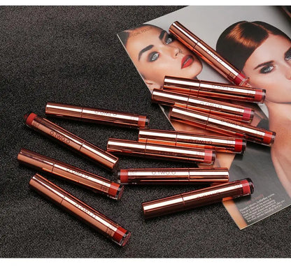 O.TWO.O 12 colors High Quality Velvet Matte lipstick Long Lasting Lips Makeup Waterproof Easy to Wear Matte Liquid Lip Gloss